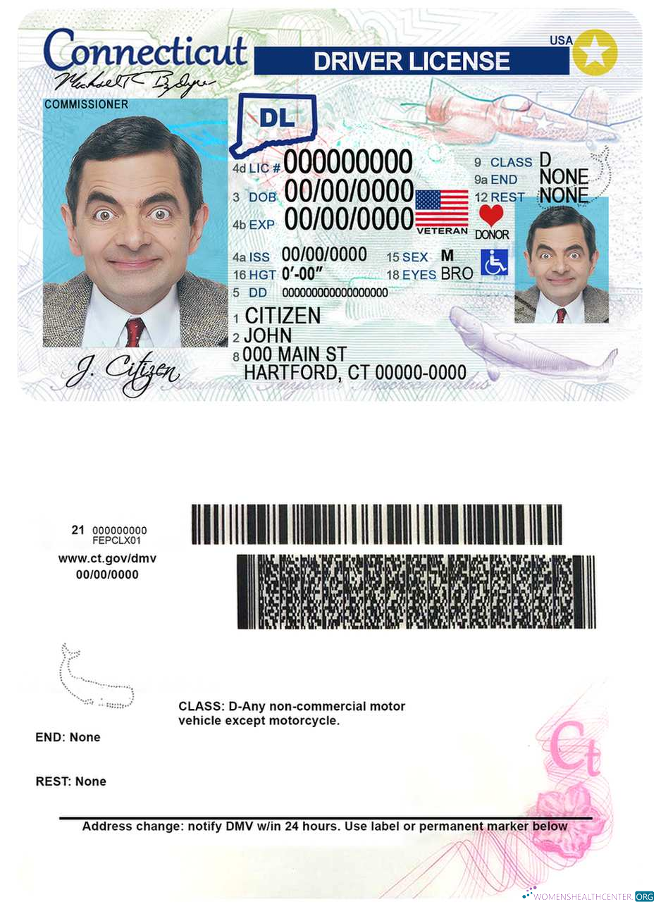 Télécharger USA Connecticut Driving License échantillon