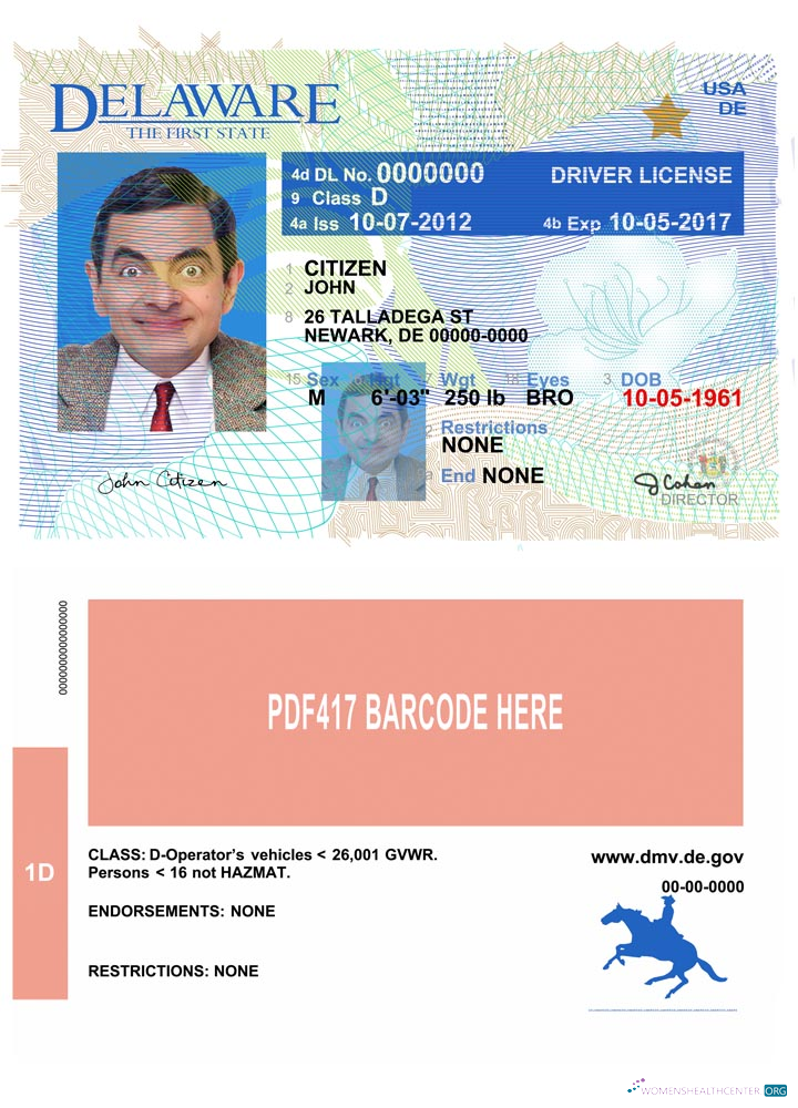 Télécharger USA Delaware Driving License Version 2 aperçu