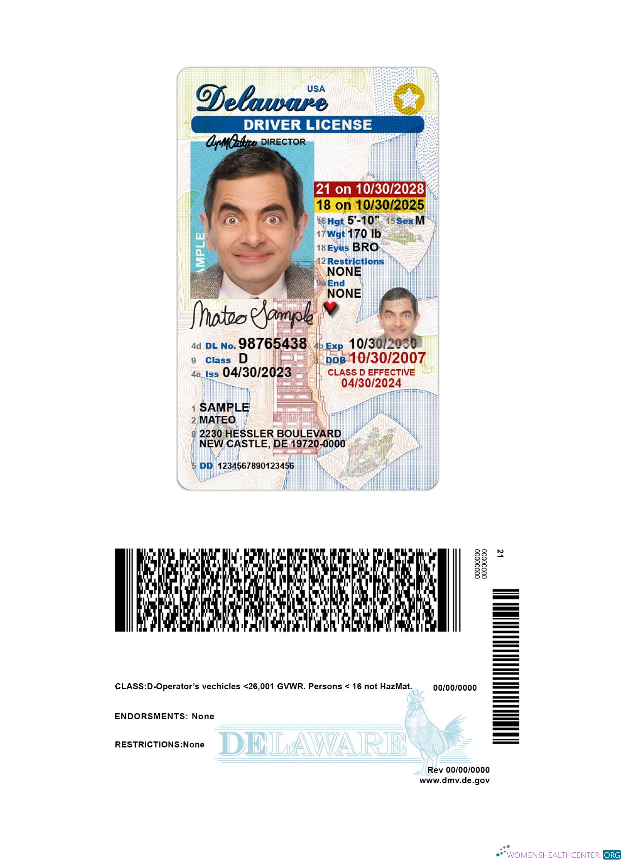 Télécharger USA Delaware Under 21 Driving License design