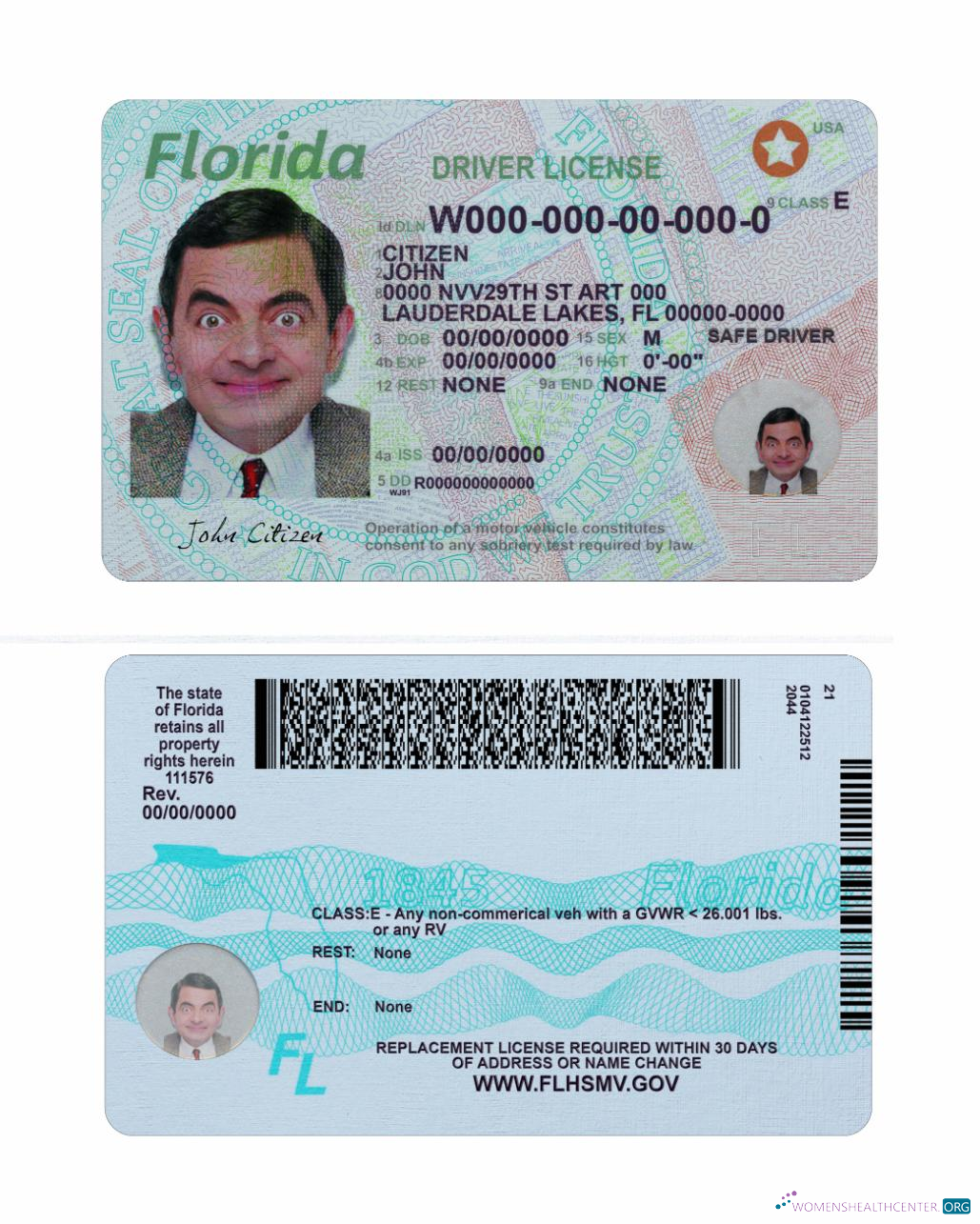 Télécharger USA Florida Driving License 2018 Présent maquette