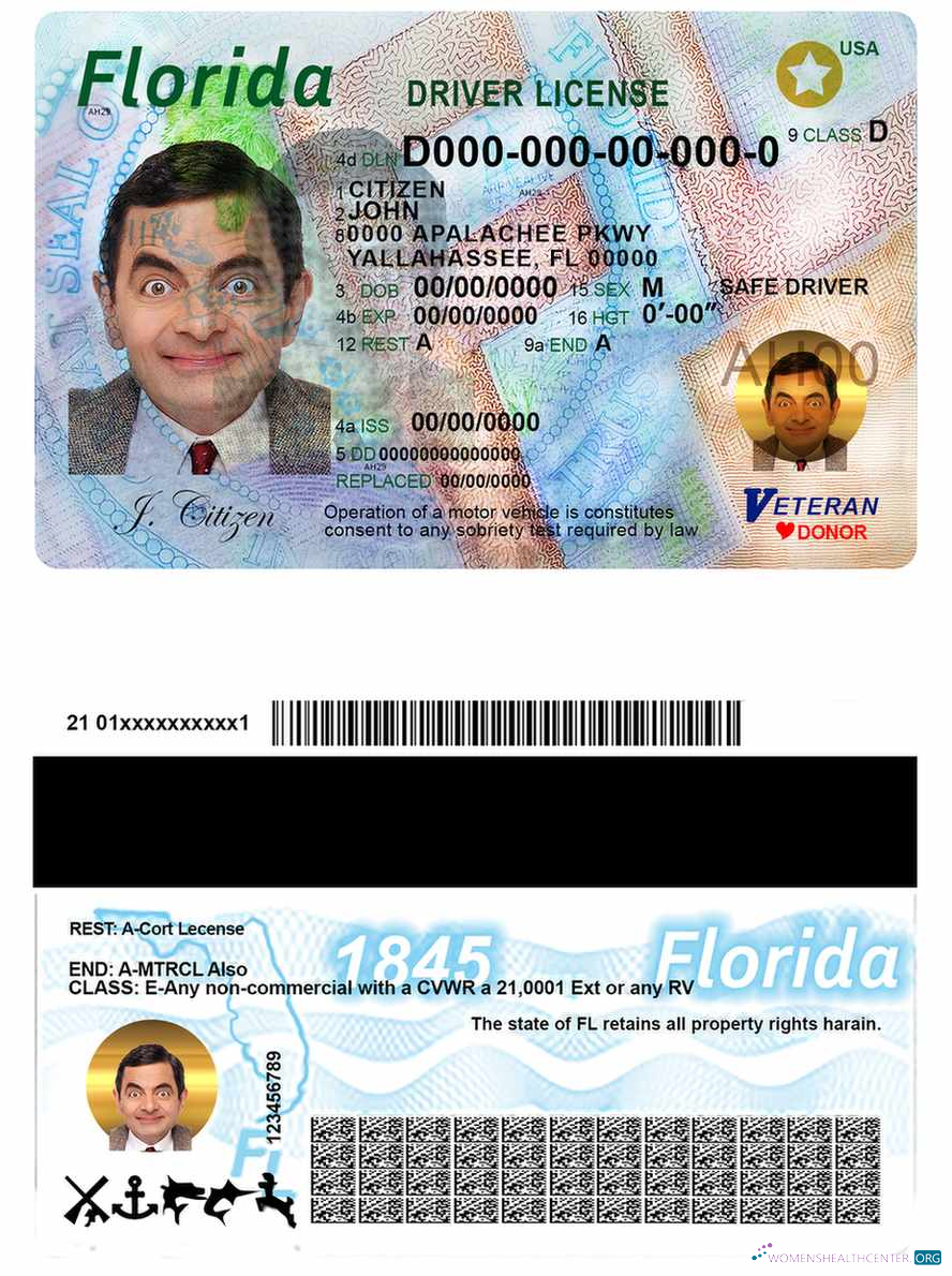 Télécharger USA Florida Driving License échantillon