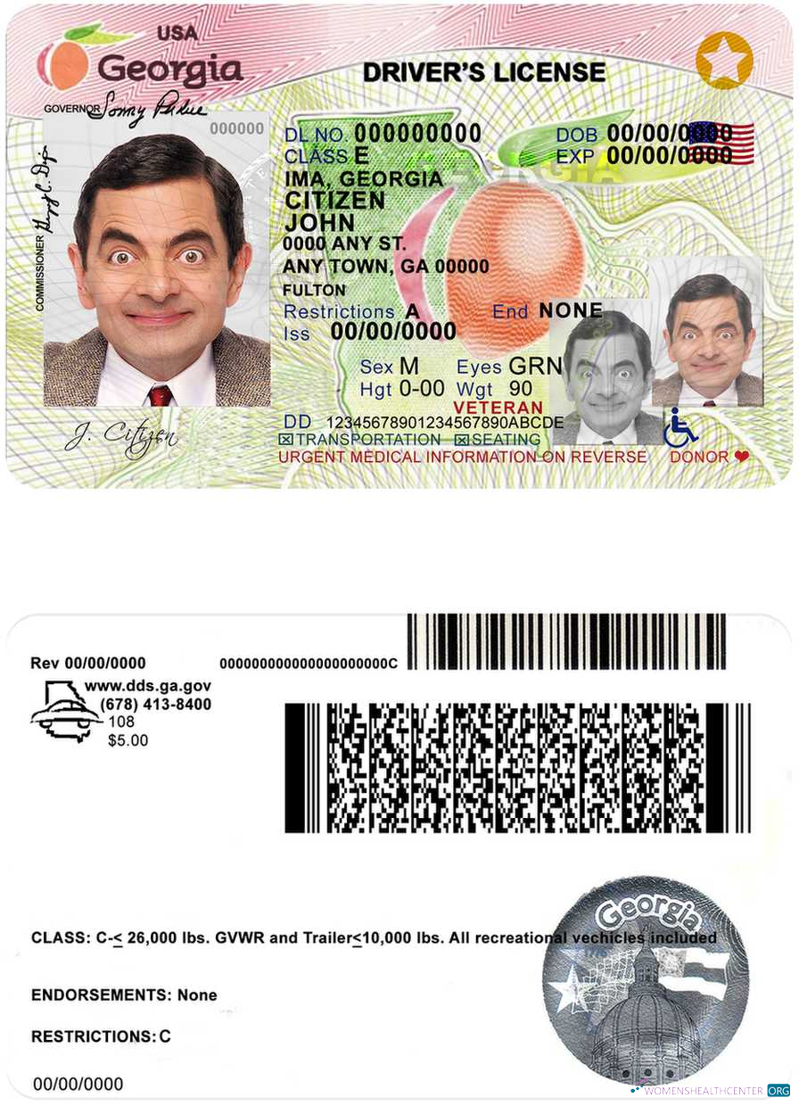 Télécharger USA Géorgie Driving License (2017 2019) aperçu
