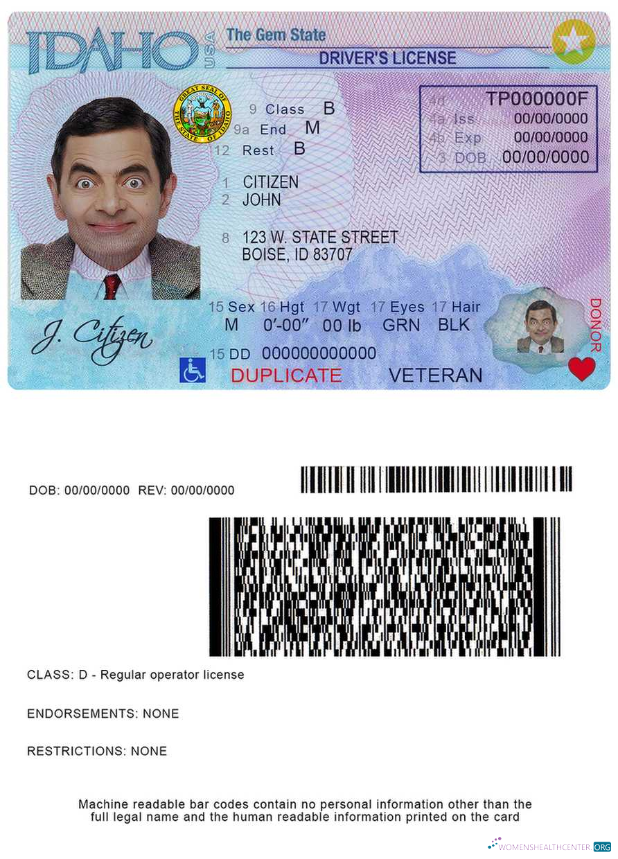 Télécharger USA Idaho Driver License modèle