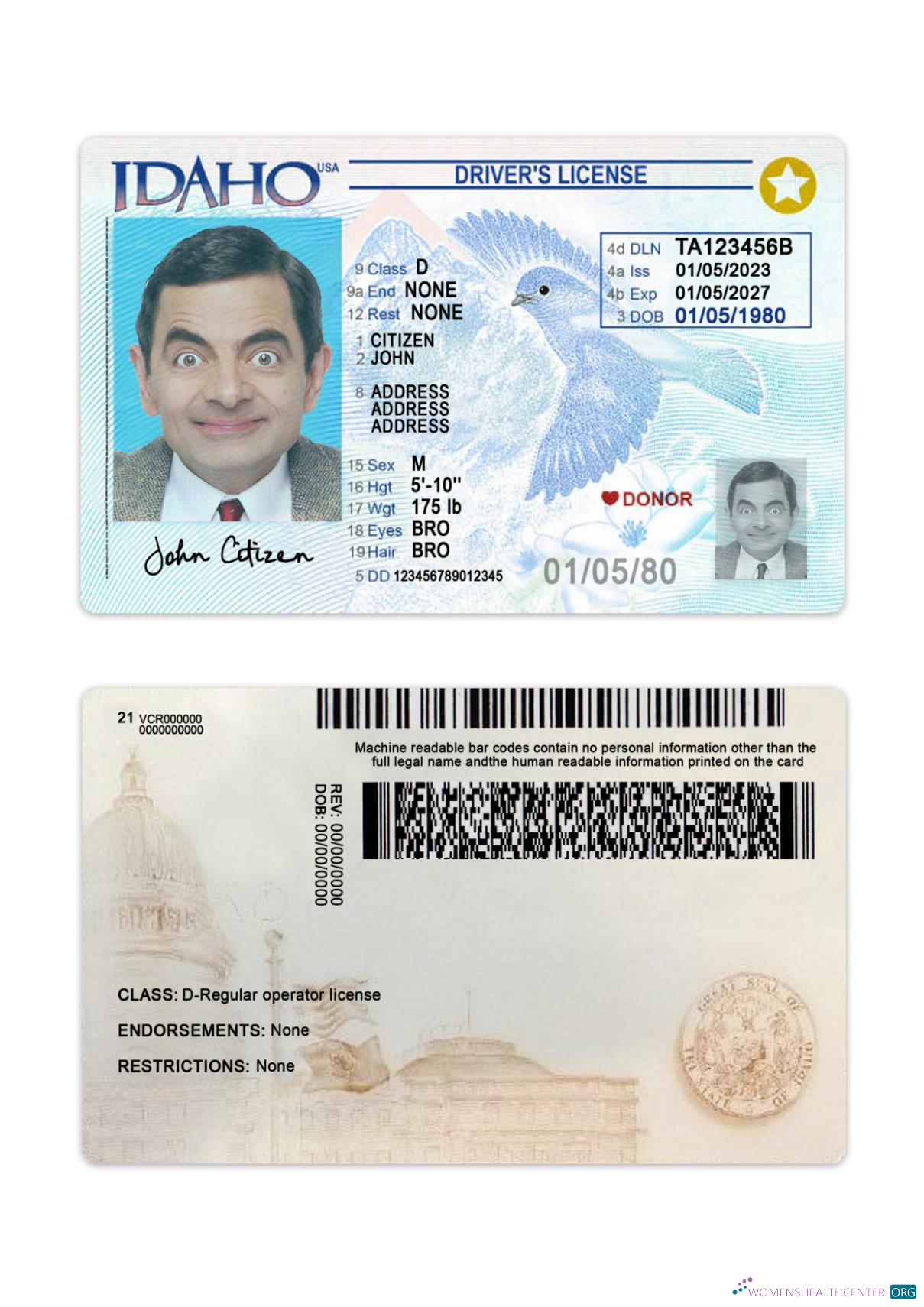 Télécharger USA Idaho Driving License 2023 Présent échantillon