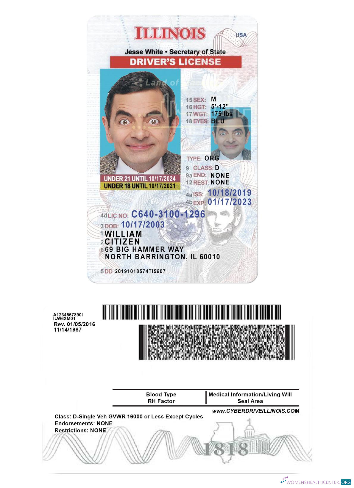Télécharger USA Illinois Driving License Under 21 maquette
