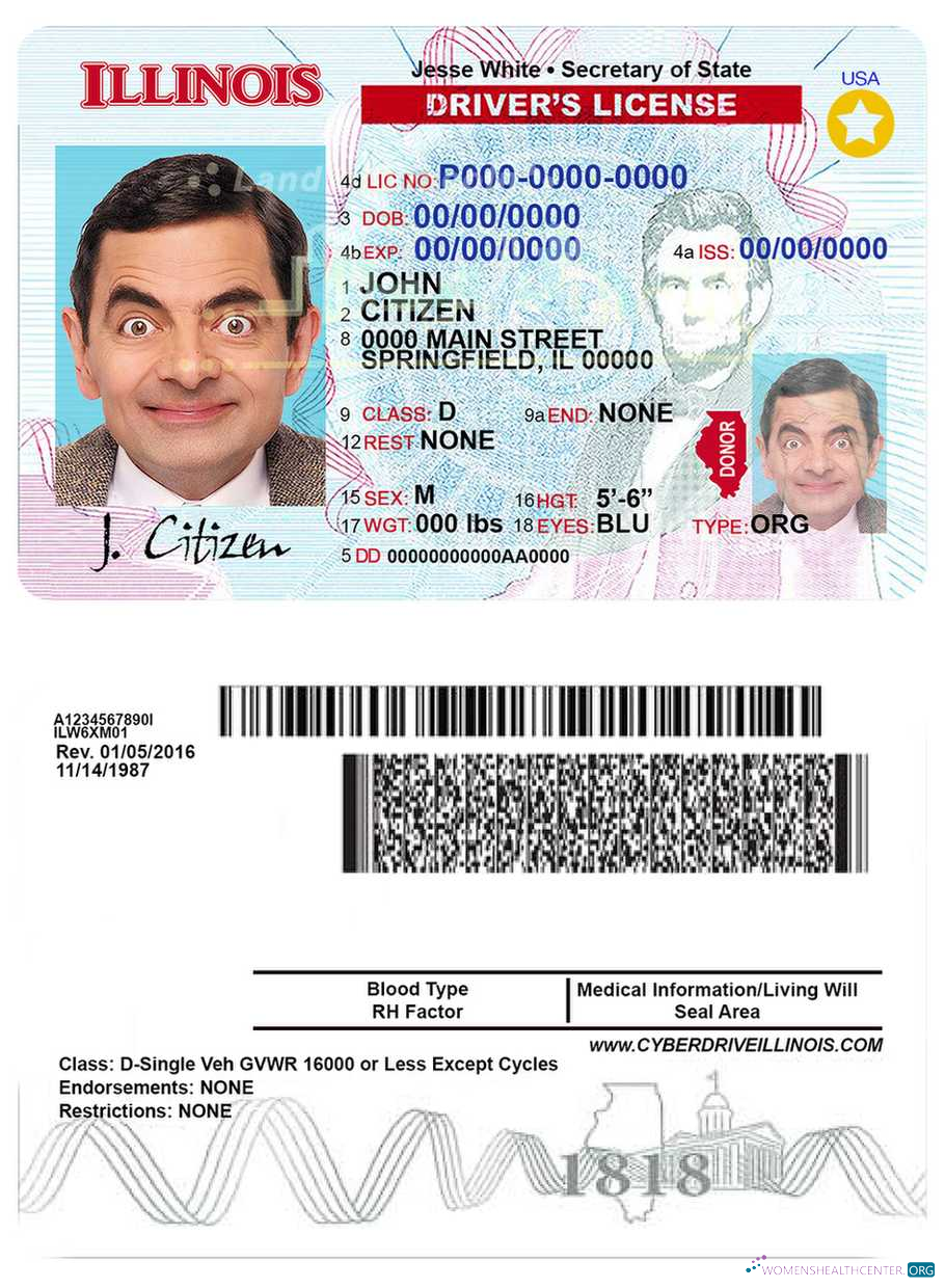 Télécharger USA Illinois Driving License modèle