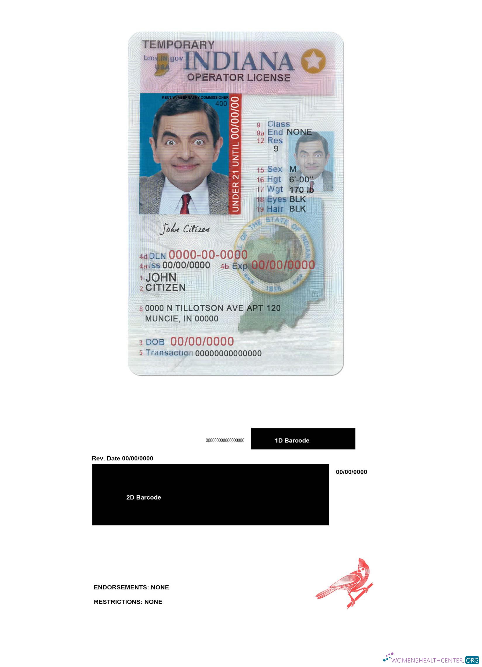 Télécharger USA Indiana Driving (operator) License Under 21 design