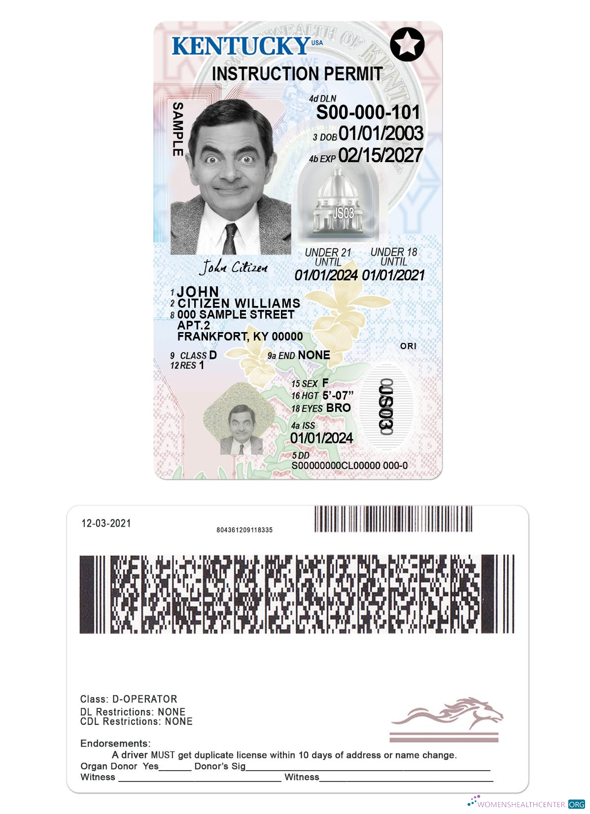 Télécharger USA Kentucky Driving License Under 21 aperçu