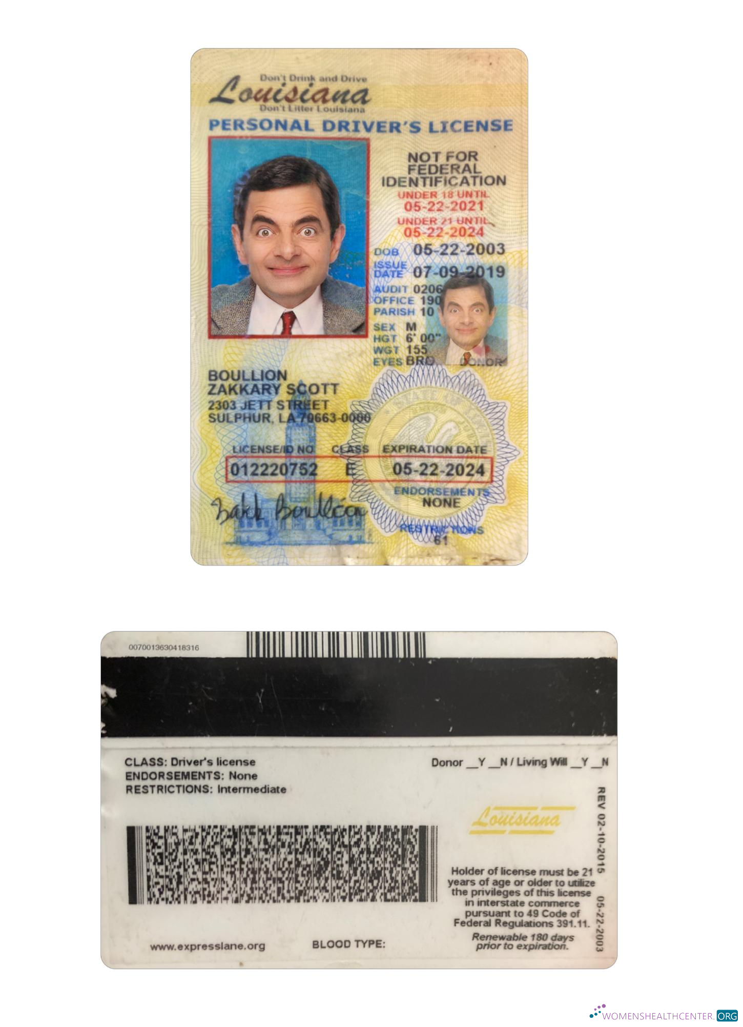 Télécharger USA Louisiana Under 21 Driving License maquette