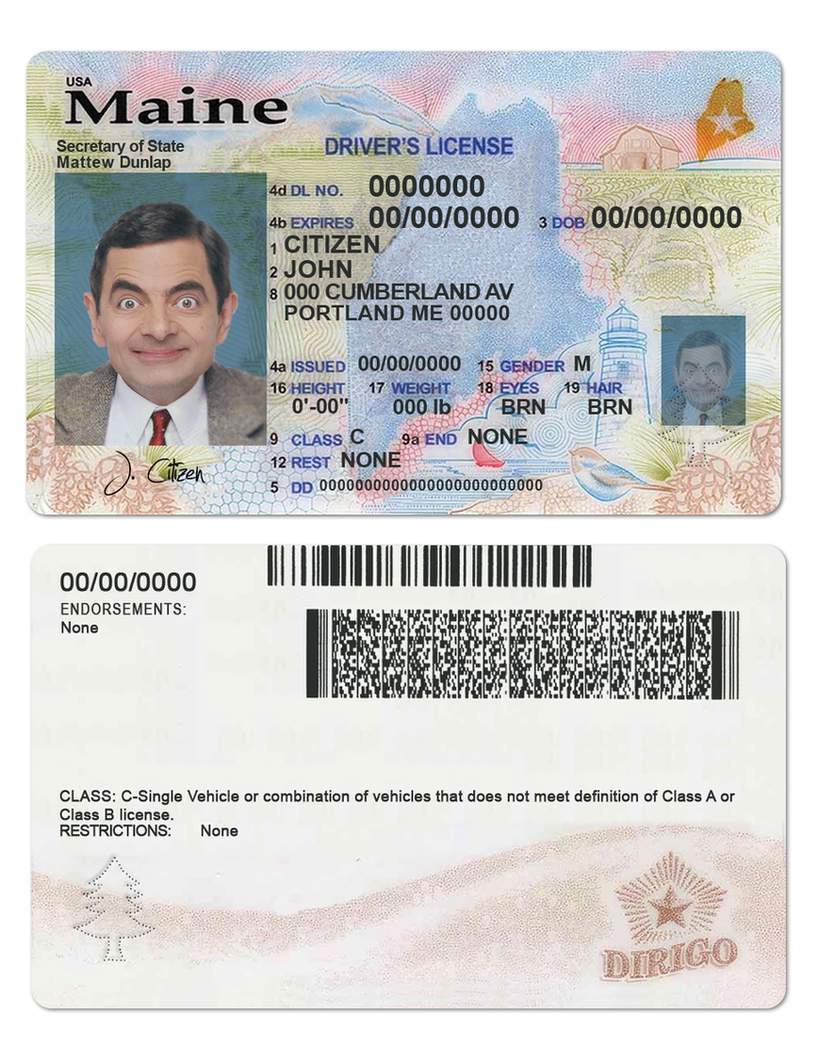 Télécharger USA Maine État Driving License (2019 – Présent) aperçu