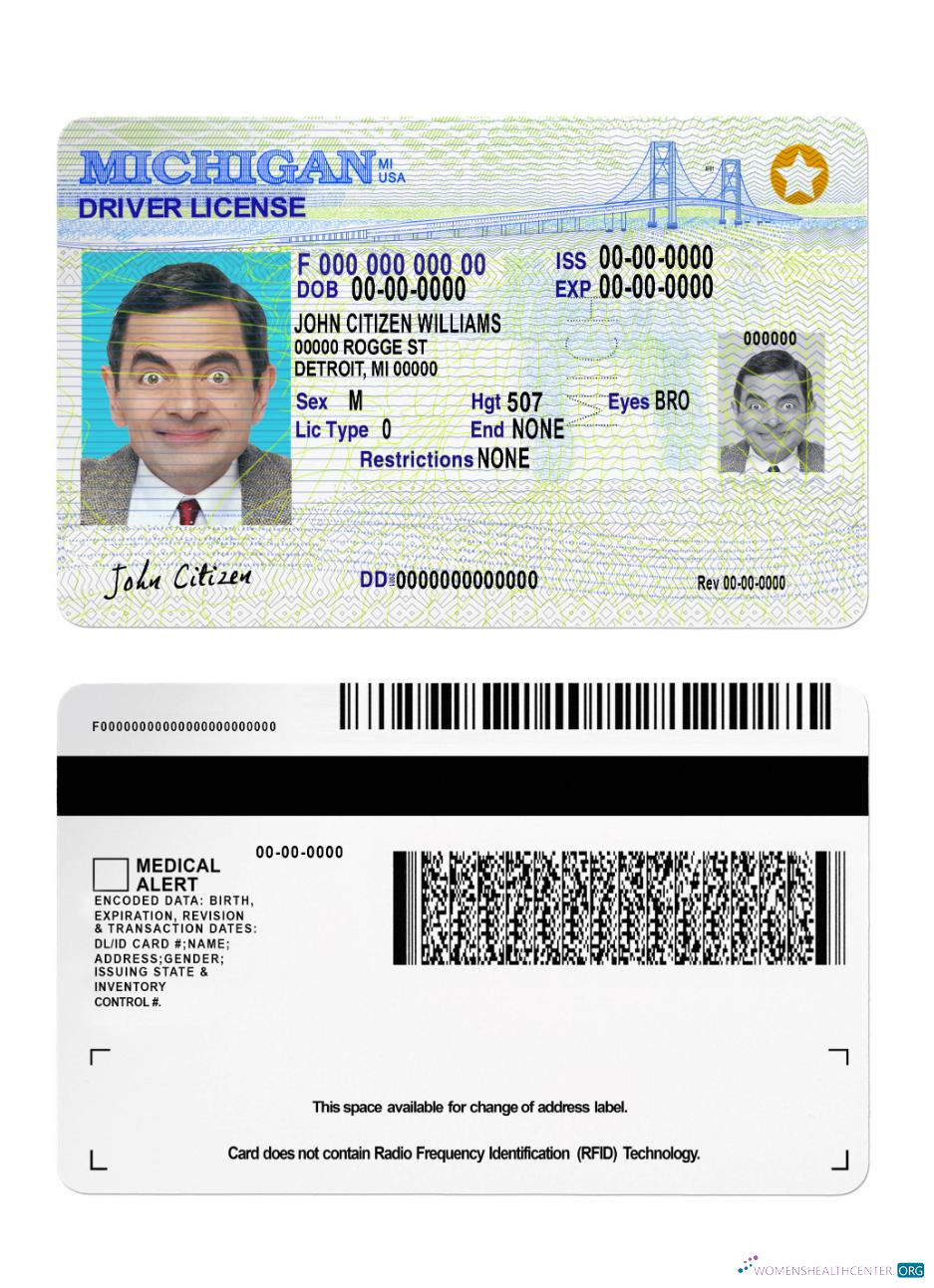 Télécharger USA Michigan DL 2021 Présent modèle