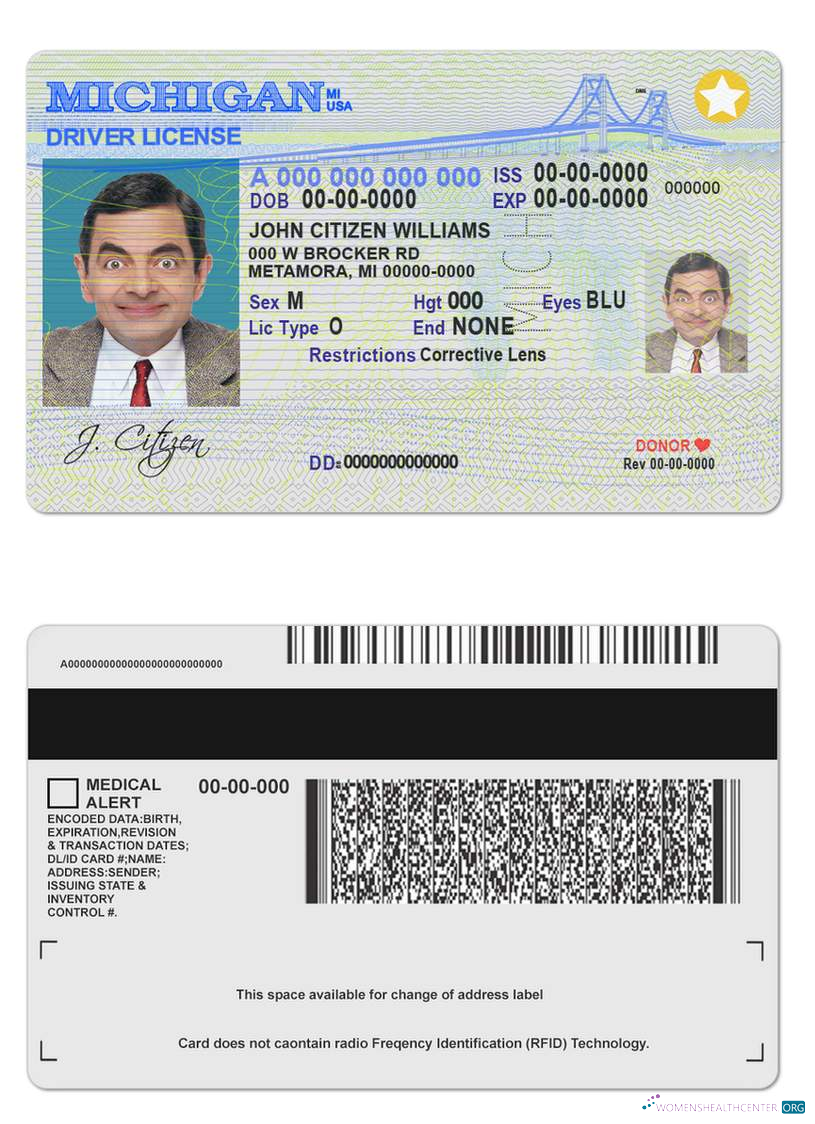 Télécharger USA Michigan Driving License modèle