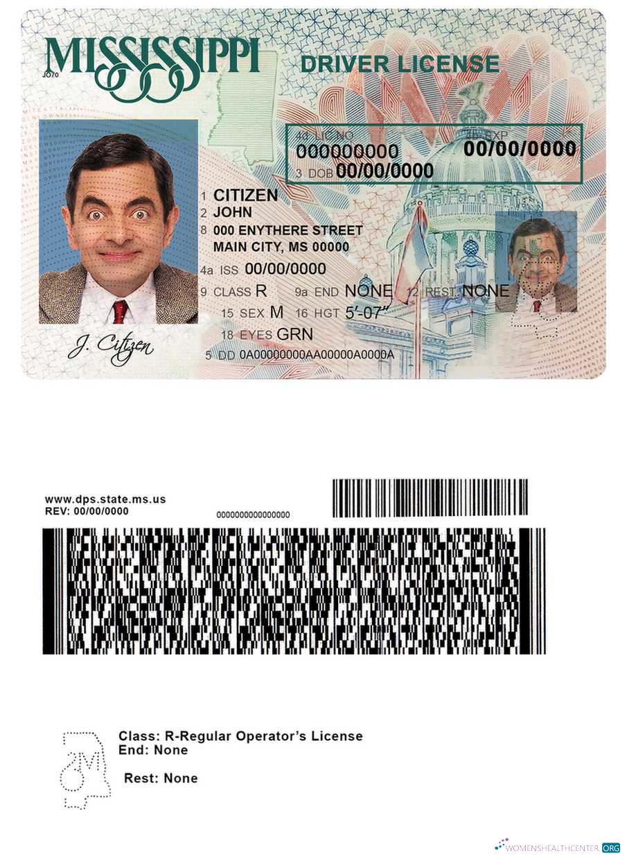 Télécharger USA Mississippi Driving License aperçu