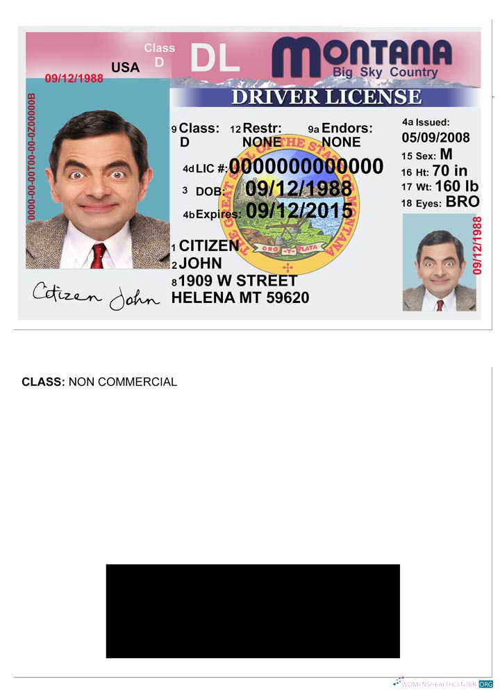 Télécharger USA Montana Driving License Version 2 design