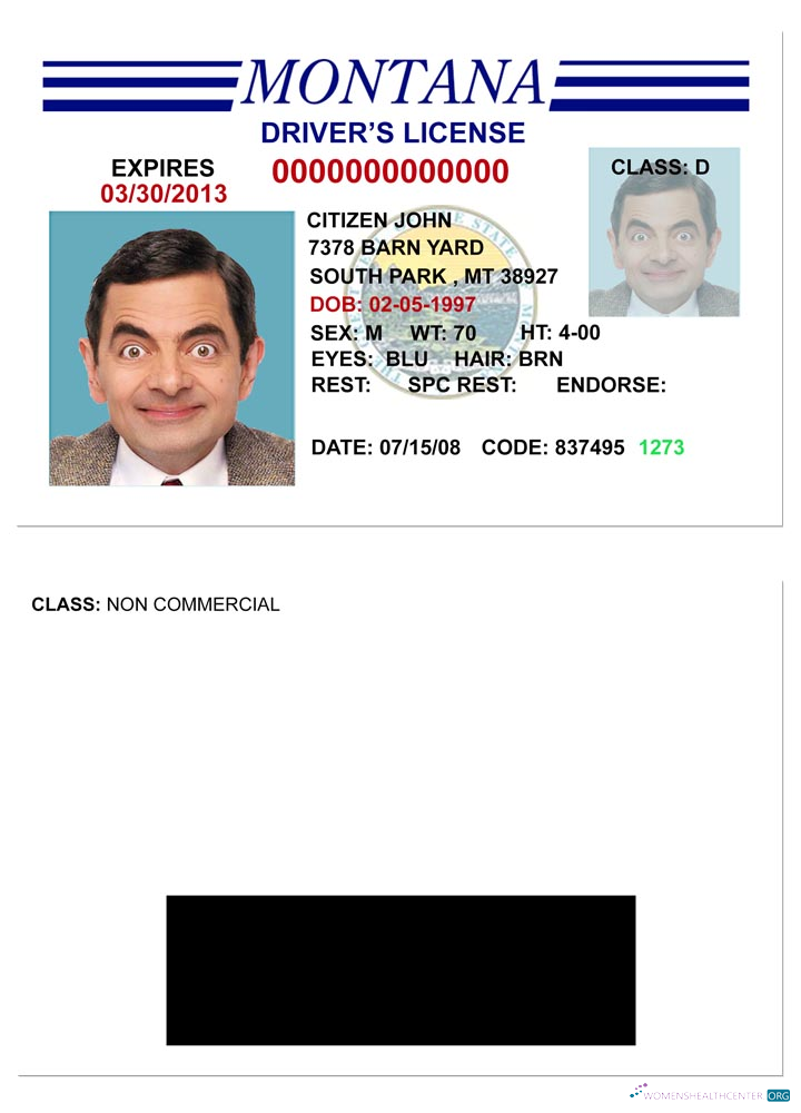 Télécharger USA Montana Driving License Version 3 design