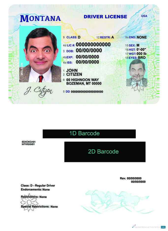Télécharger USA Montana Driving License aperçu