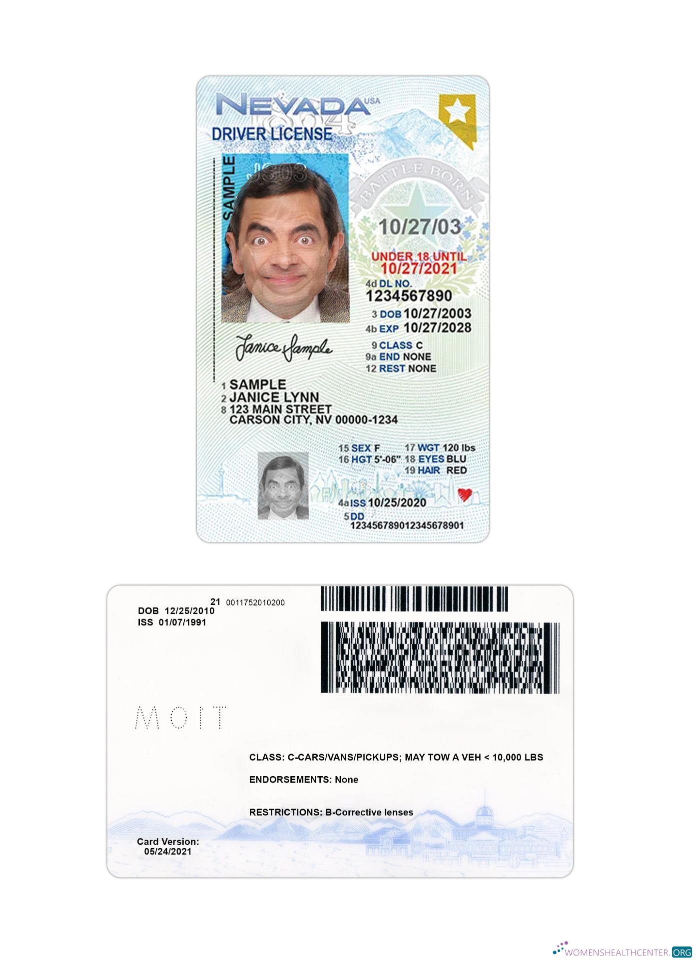 Télécharger USA Nevada Under 21 Driving License aperçu