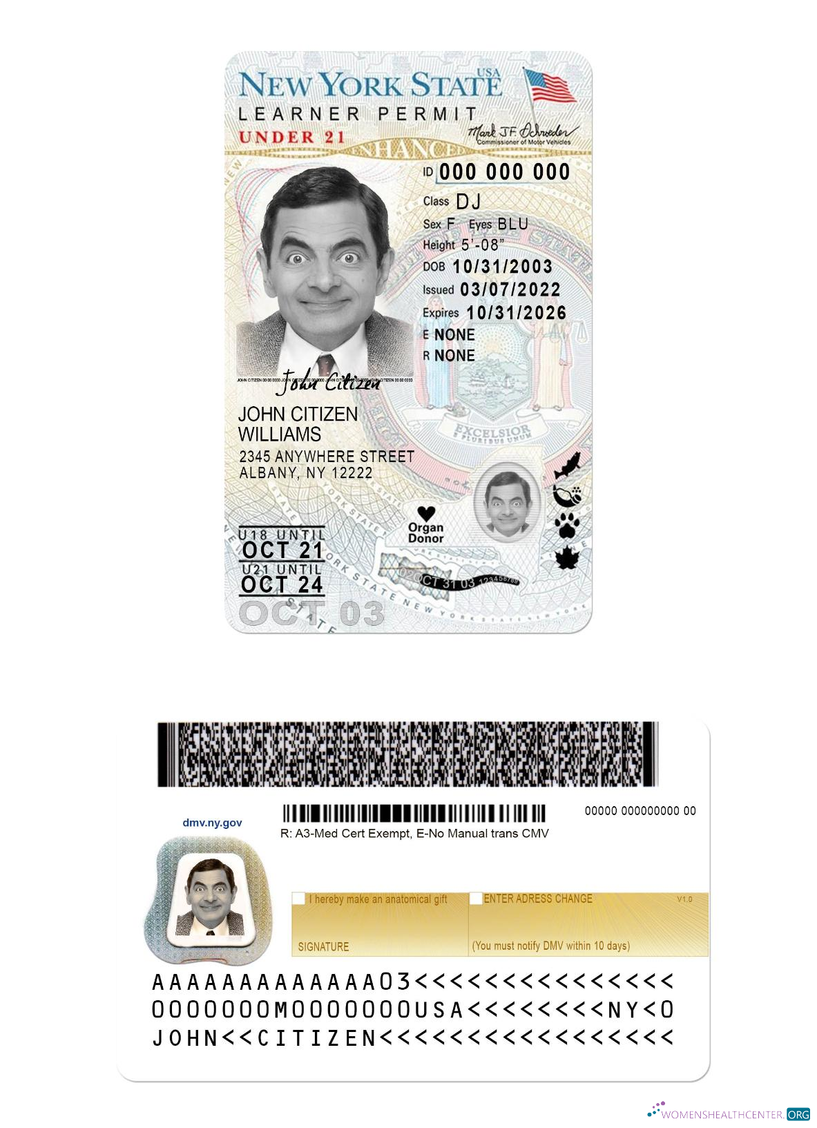 Télécharger USA Nouveau York Driving License Under 21 (Version 2) modèle