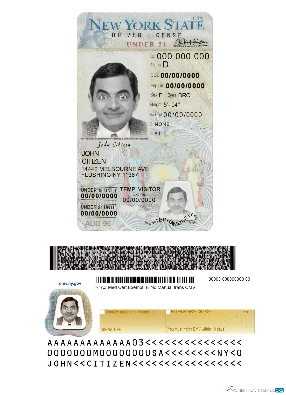 Télécharger USA Nouveau York Driving License Under 21 modèle