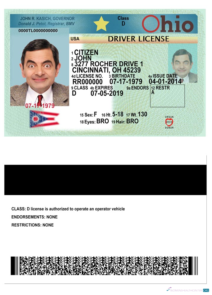 Télécharger USA Ohio Driving License 2018 Présent maquette