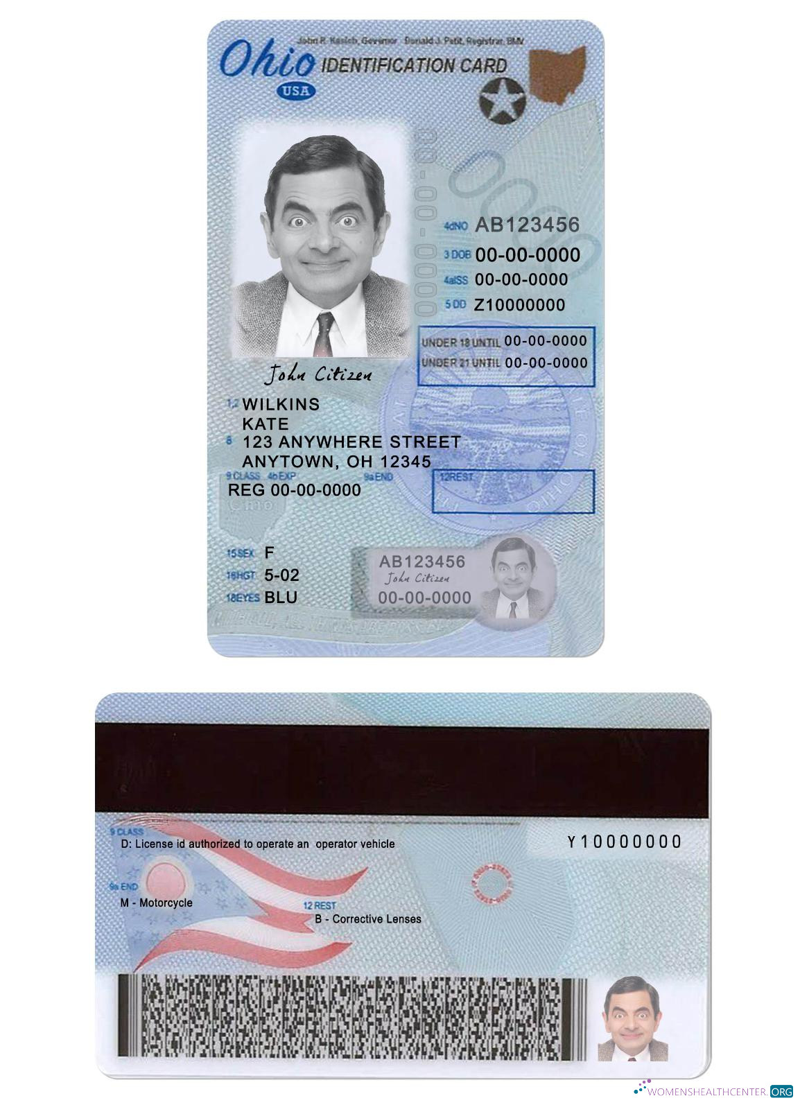 Télécharger USA Ohio Driving License Under 21 design