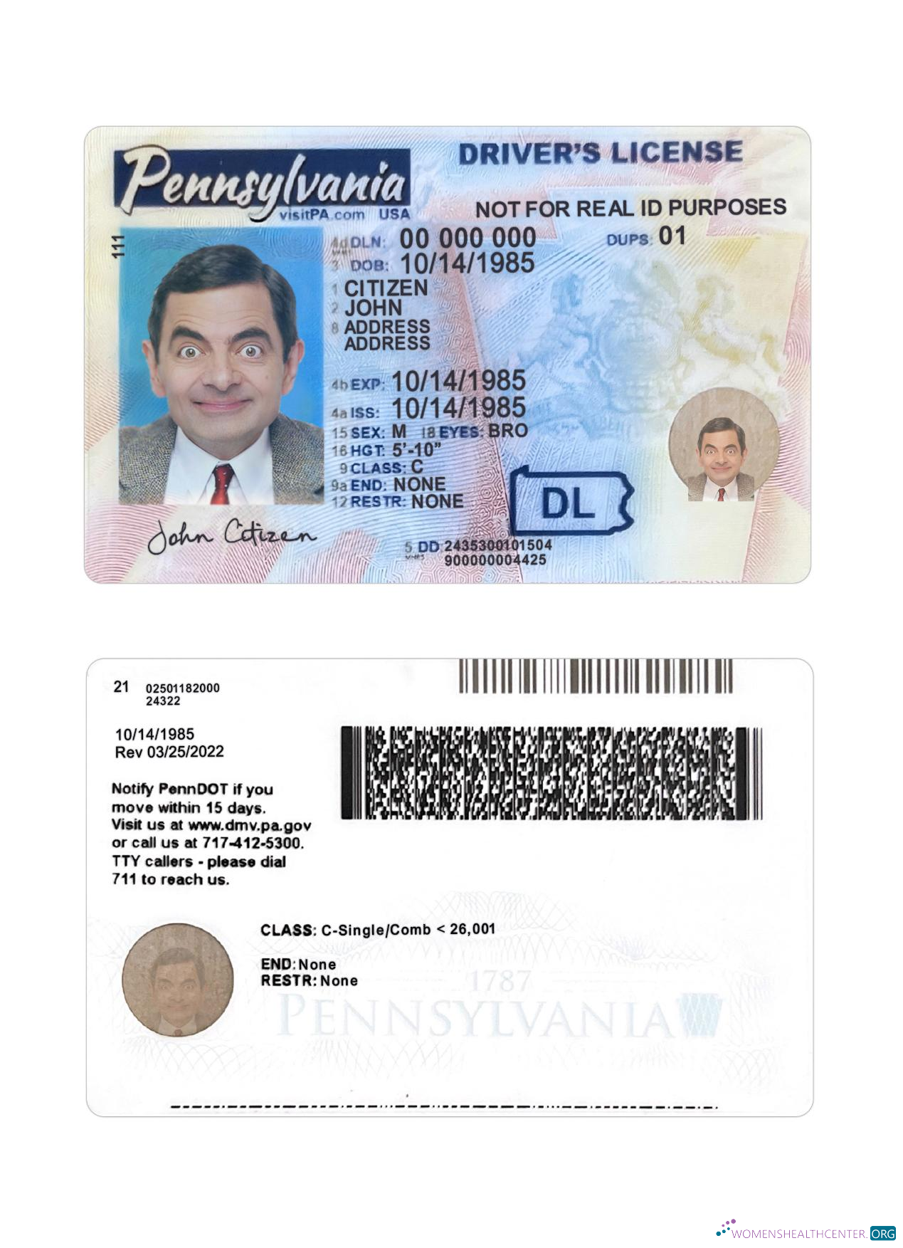 Télécharger USA Pennsylvania Driving License 2024 Présent modèle