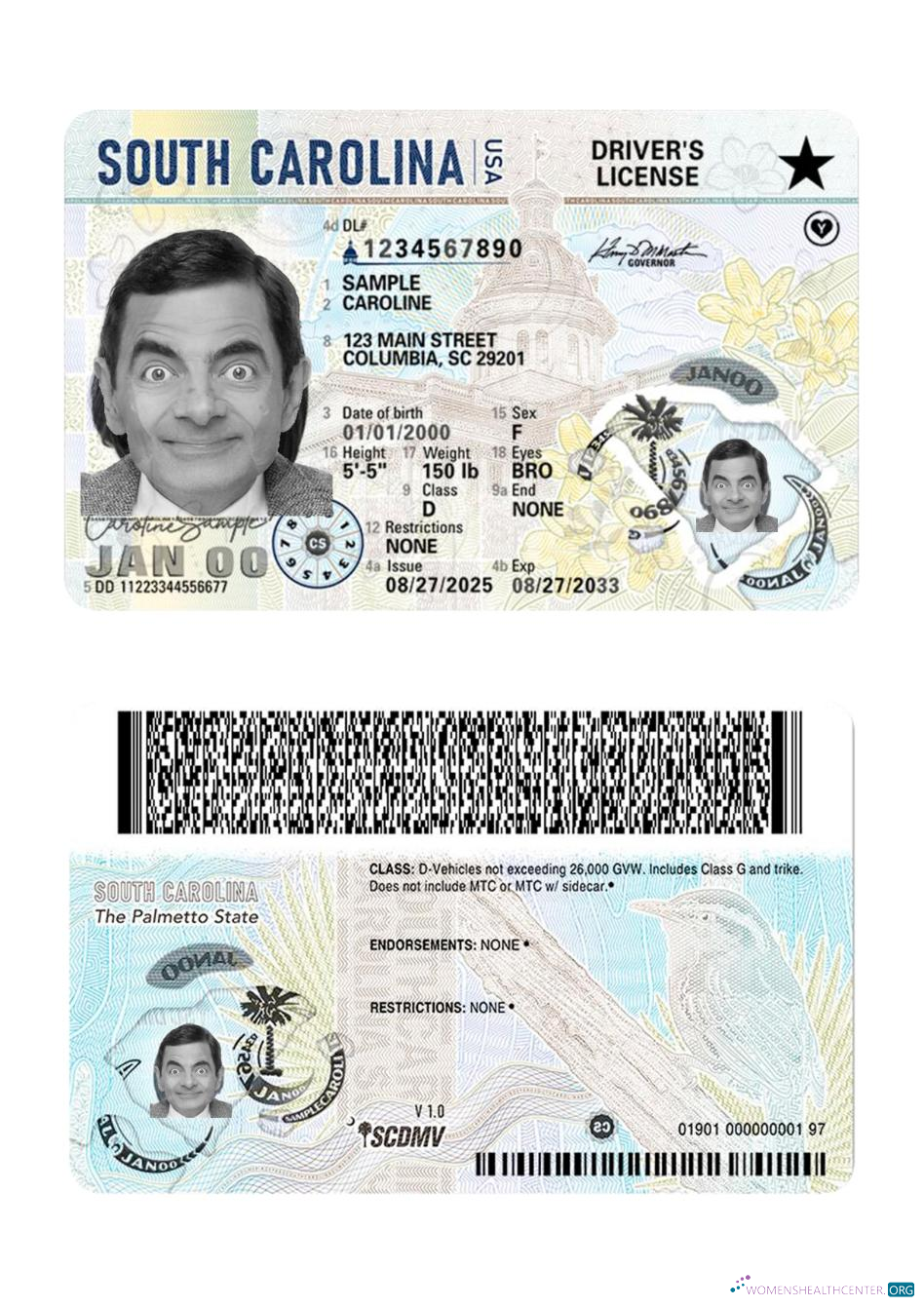 Télécharger USA Sud Carolina Driving License 2025 Présent design