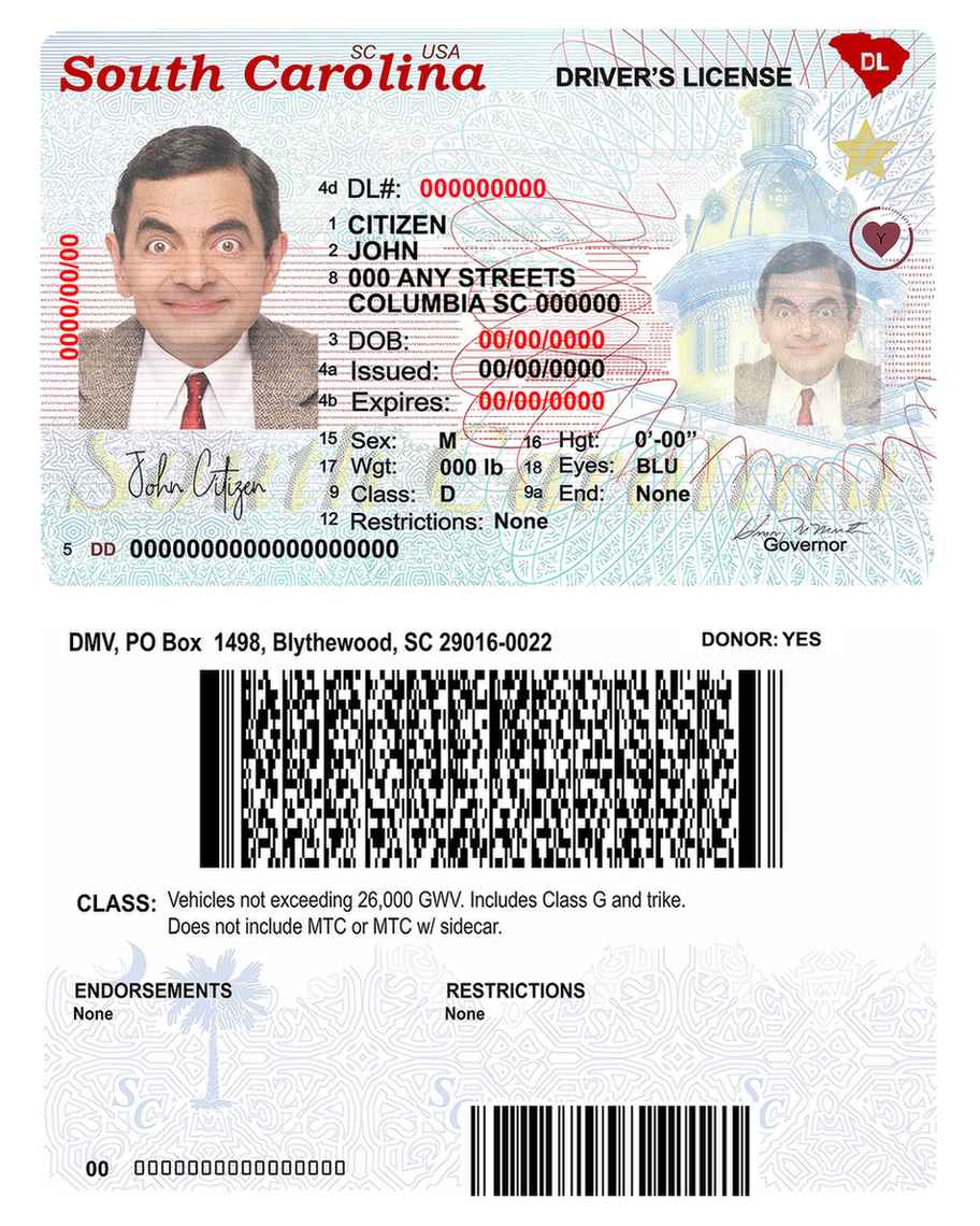 Télécharger USA Sud Carolina État Driving License (2020 – Présent) échantillon