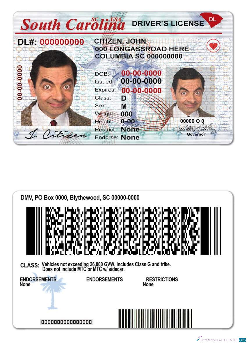 Télécharger USA Sud Carolina État Driving License modèle