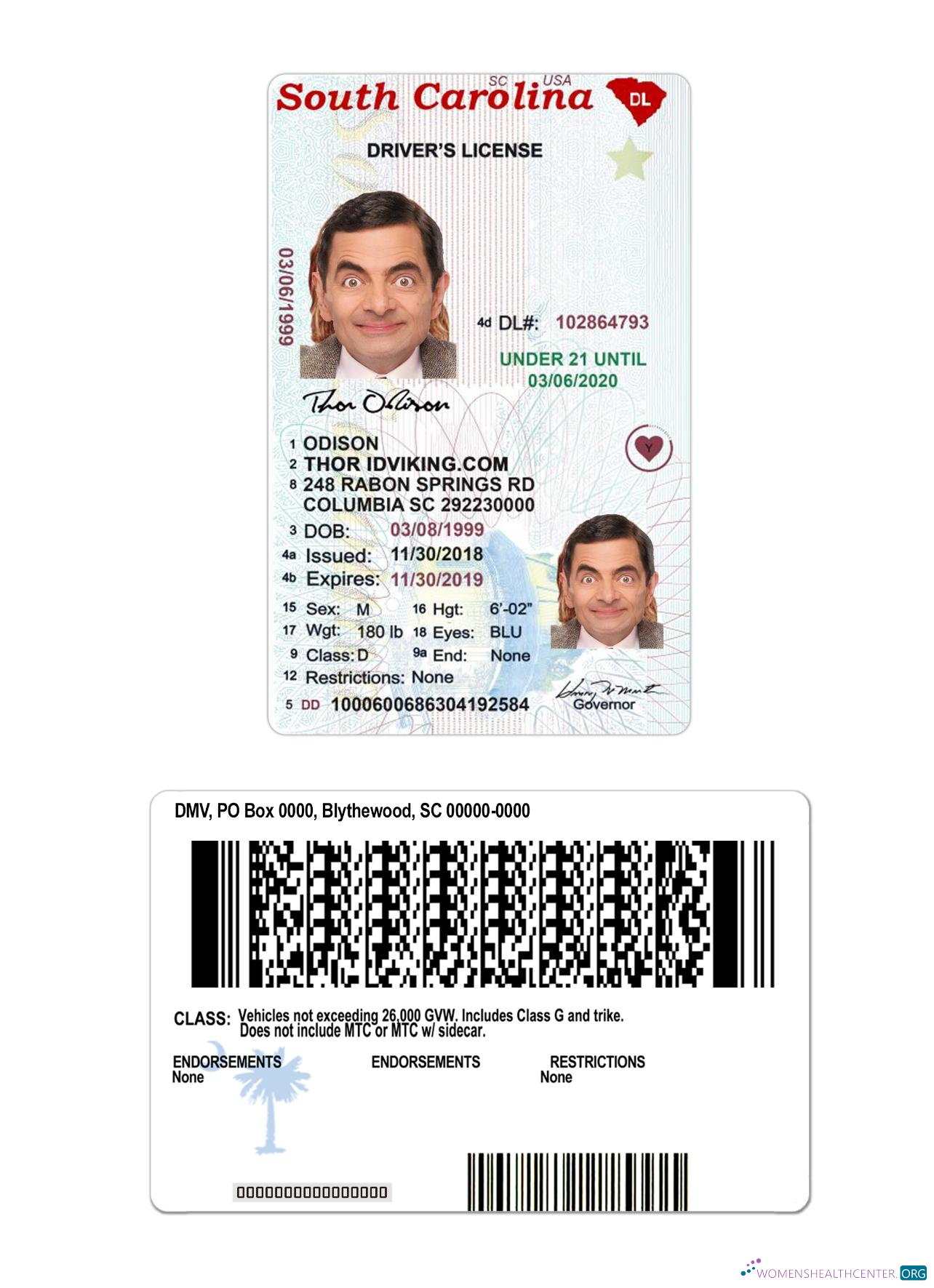 Télécharger USA Sud Carolina Under 21 Driving License aperçu