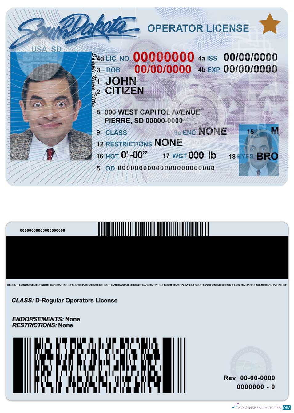 Télécharger USA Sud Dakota Driving License aperçu