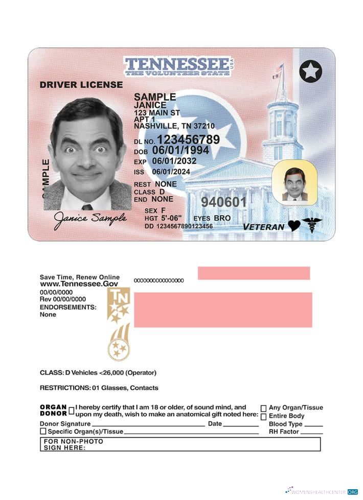 Télécharger USA Tennessee Driving License 2024 Présent aperçu
