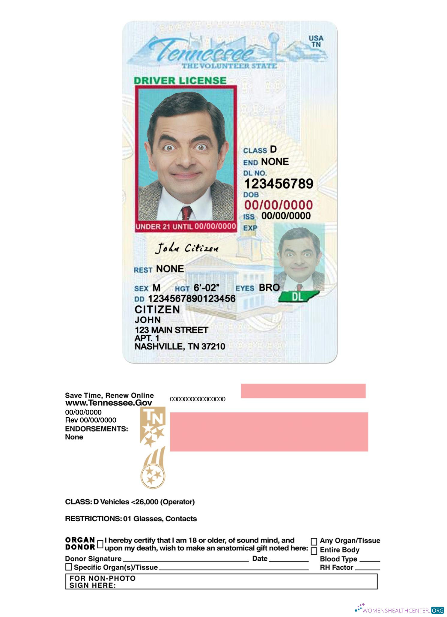 Télécharger USA Tennessee Driving License Under 21 design