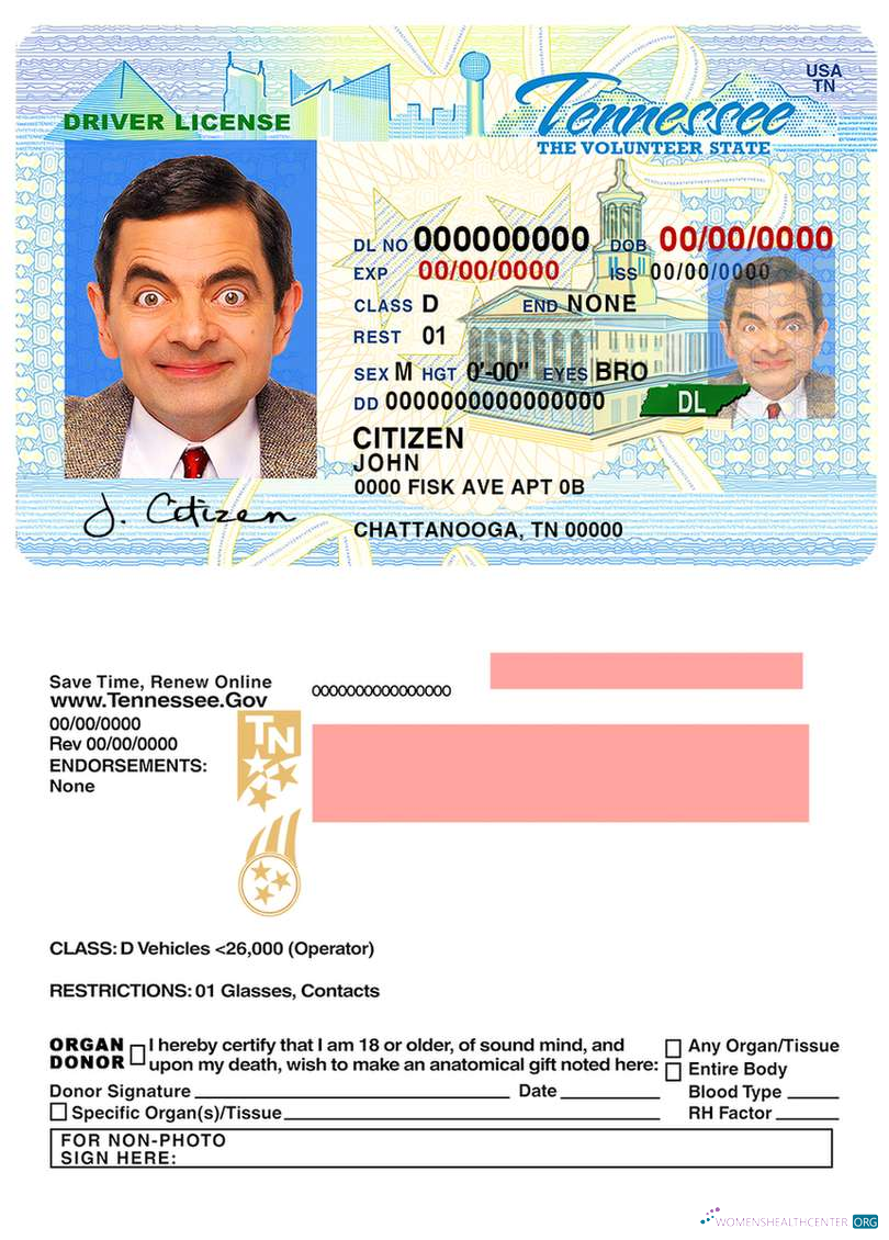 Télécharger USA Tennessee Driving License modèle