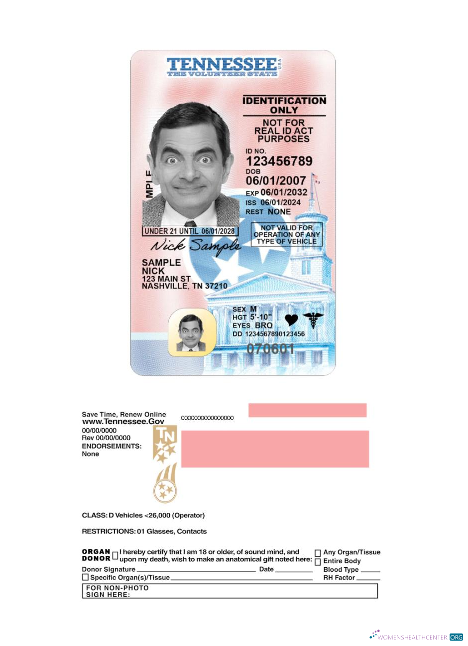 Télécharger USA Tennessee Under 21 Driving License 2024 Présent maquette