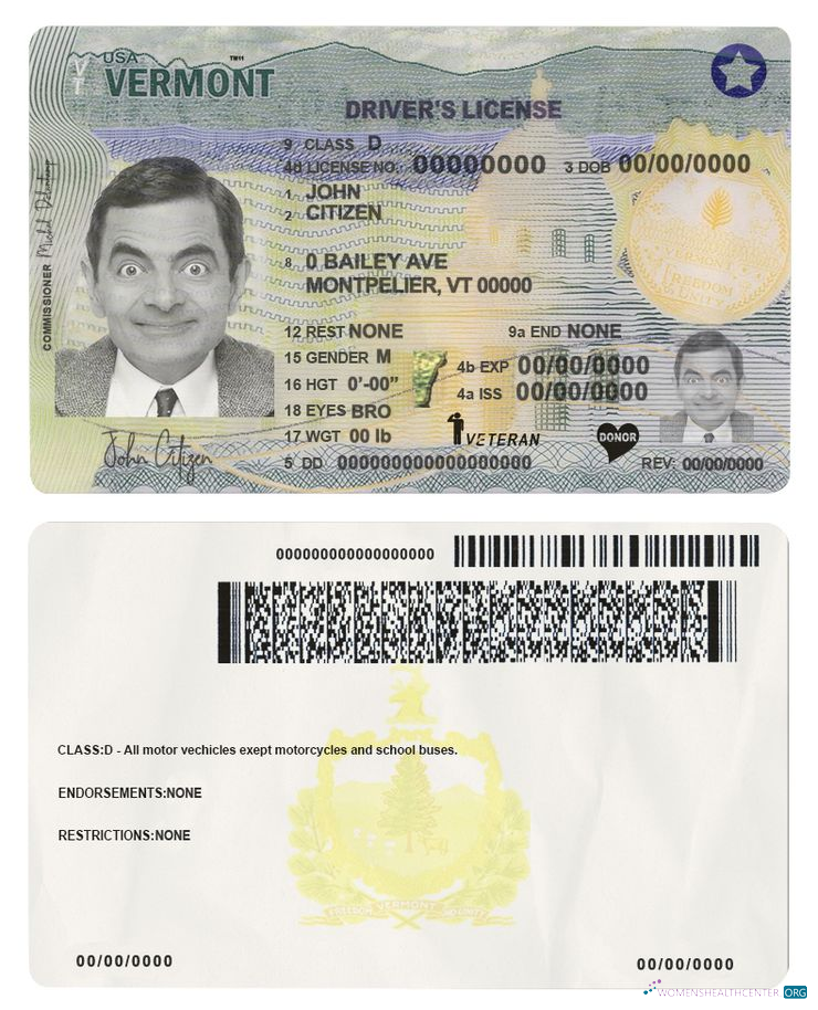 Télécharger USA Vermont Driving License (2019 – Présent) maquette