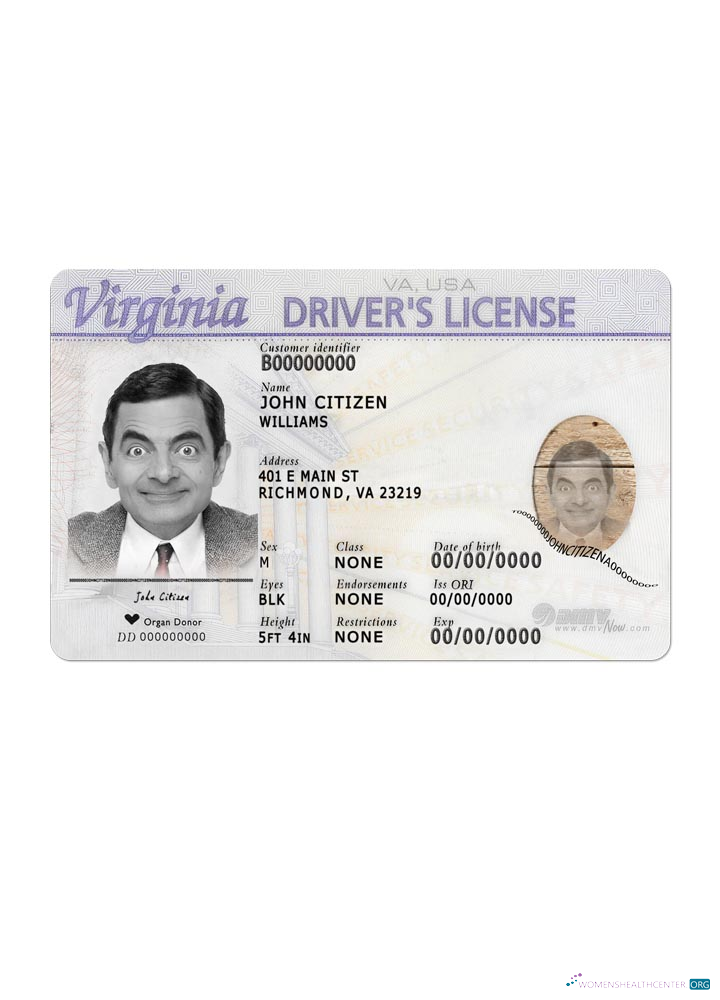 Télécharger USA Virginia Driving Recto modèle