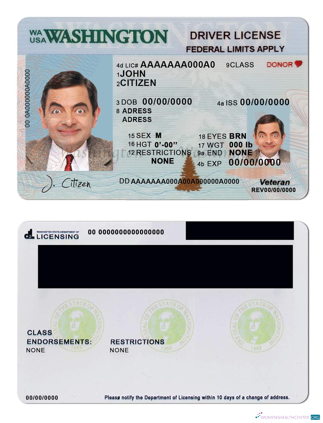 Télécharger USA Washington Driving License (2018 – Présent) maquette