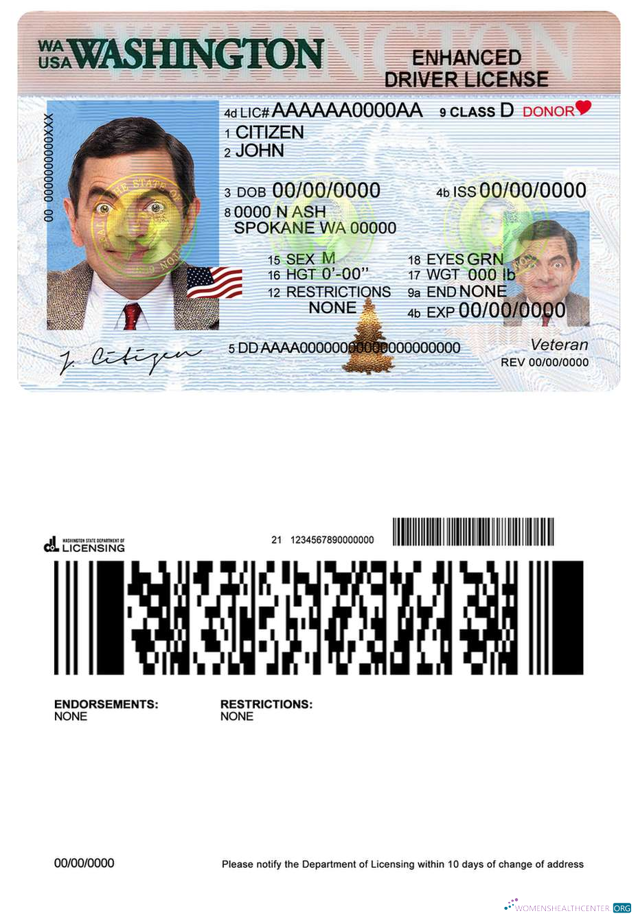 Télécharger USA Washington Driving License maquette