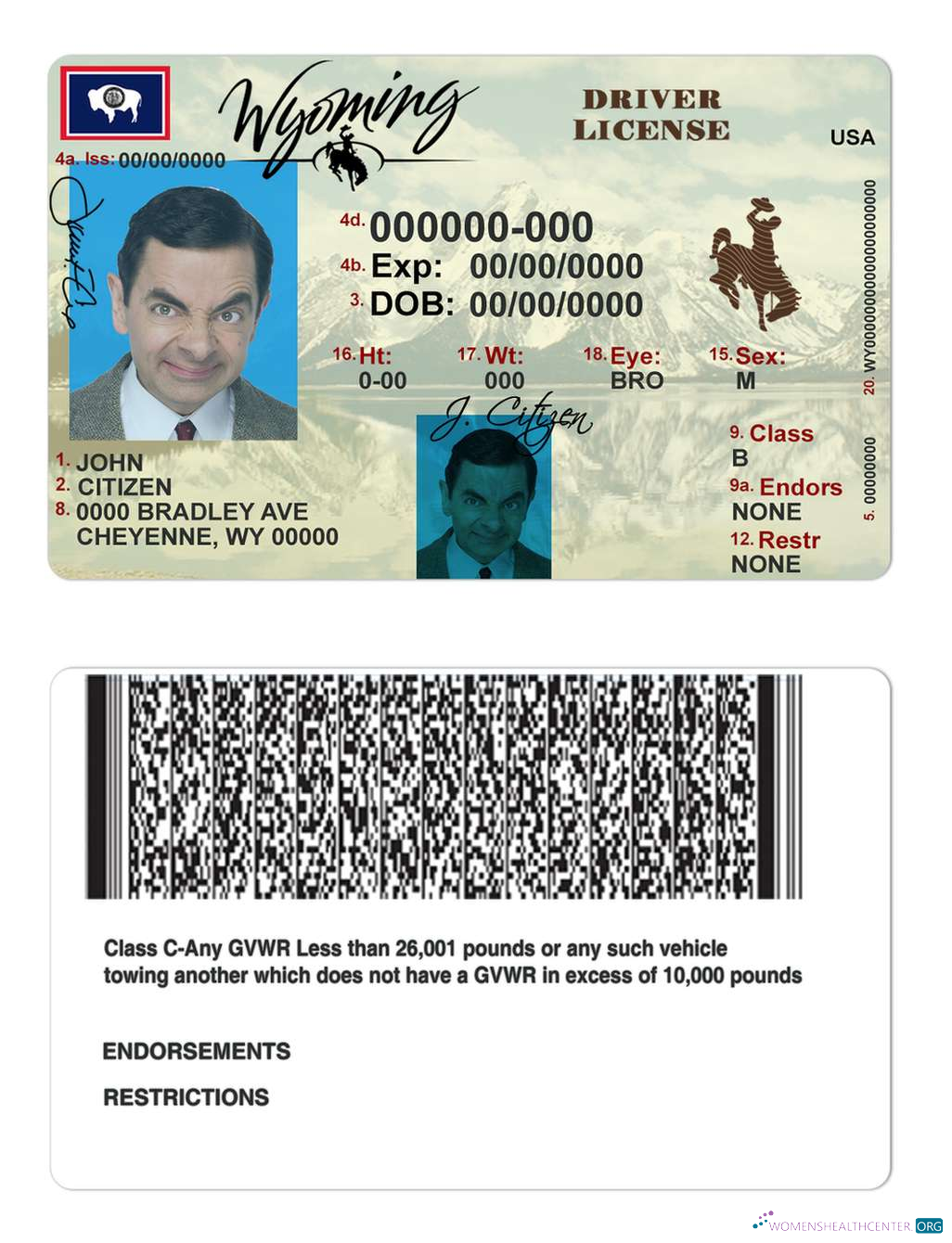 Télécharger USA Wyoming État Driving License maquette