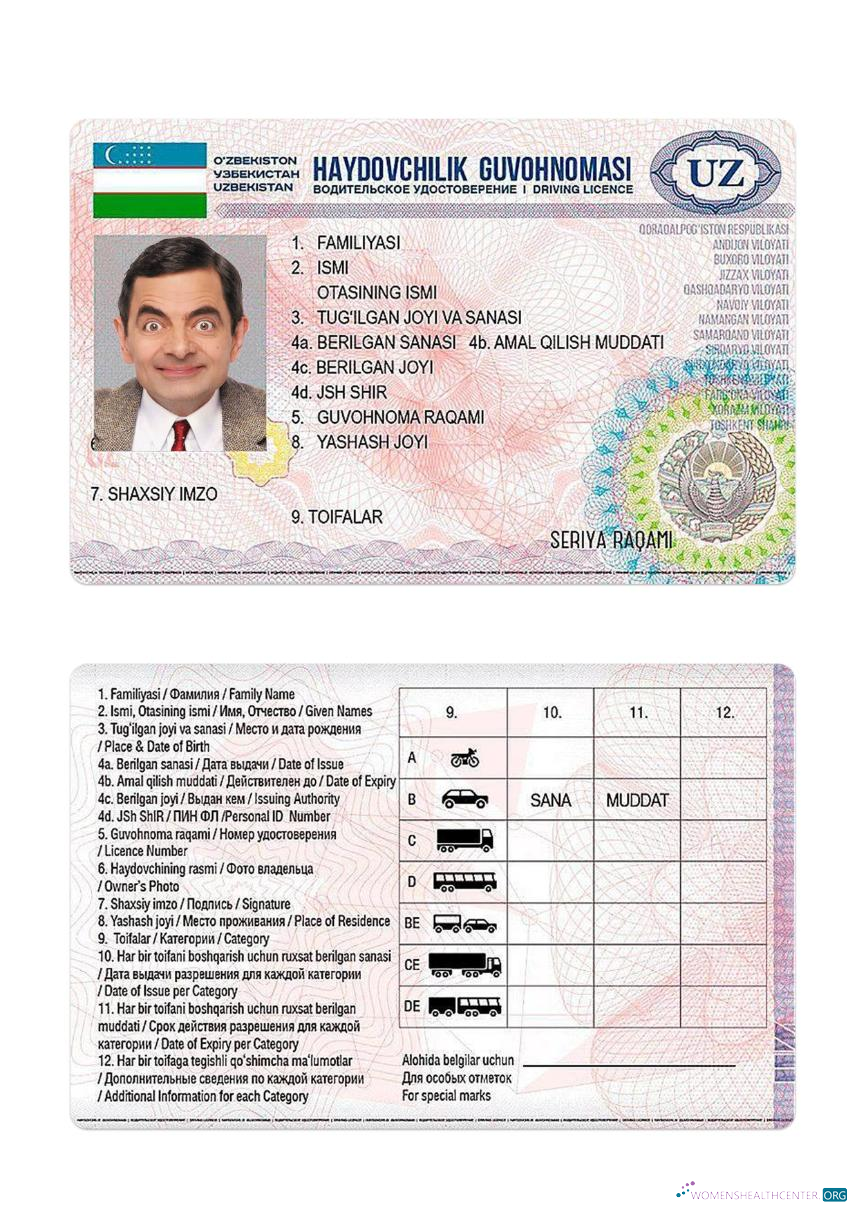 Télécharger Ouzbékistan Driving License 2017 Présent design