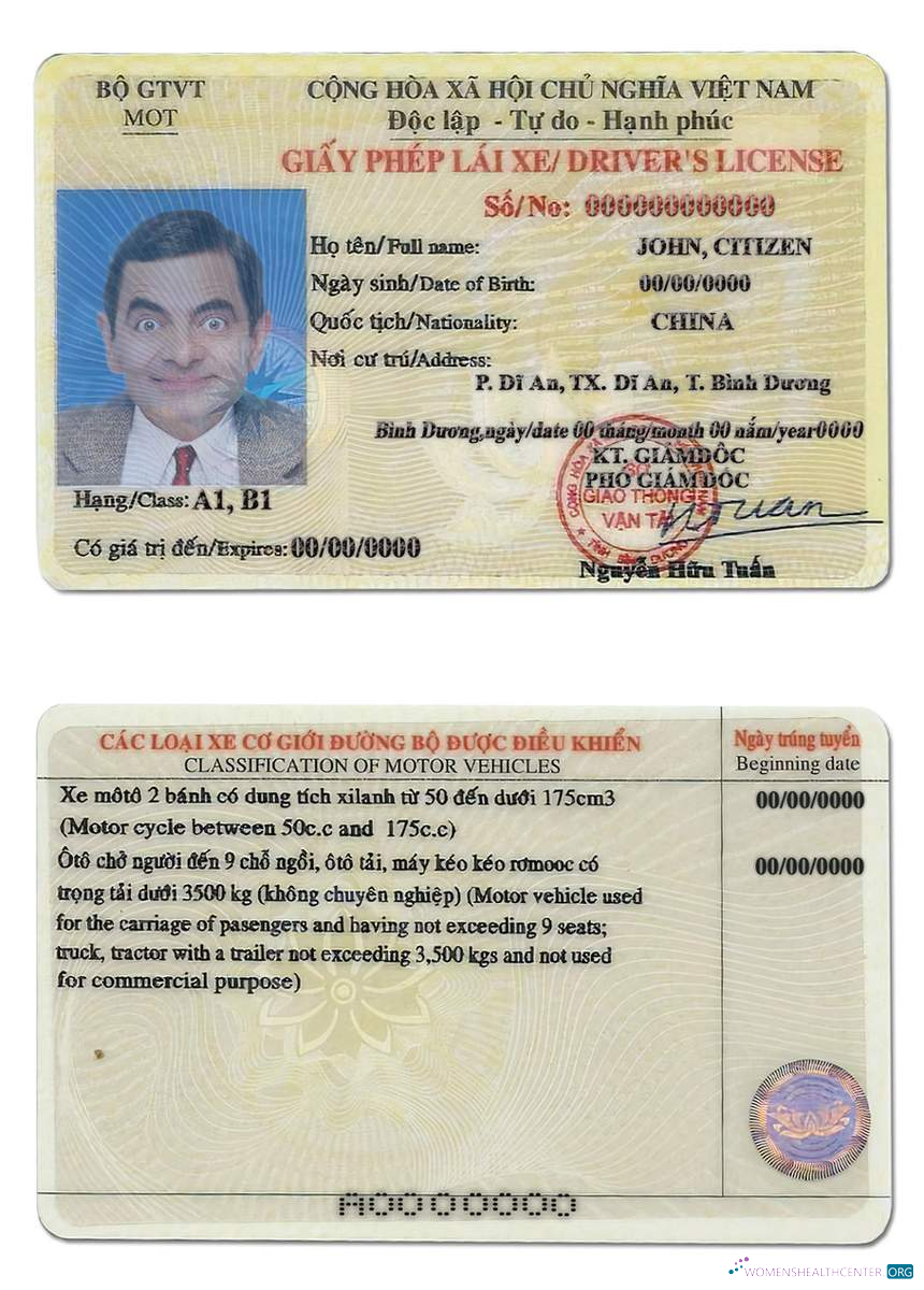 Télécharger Viêt Nam Driving License modèle