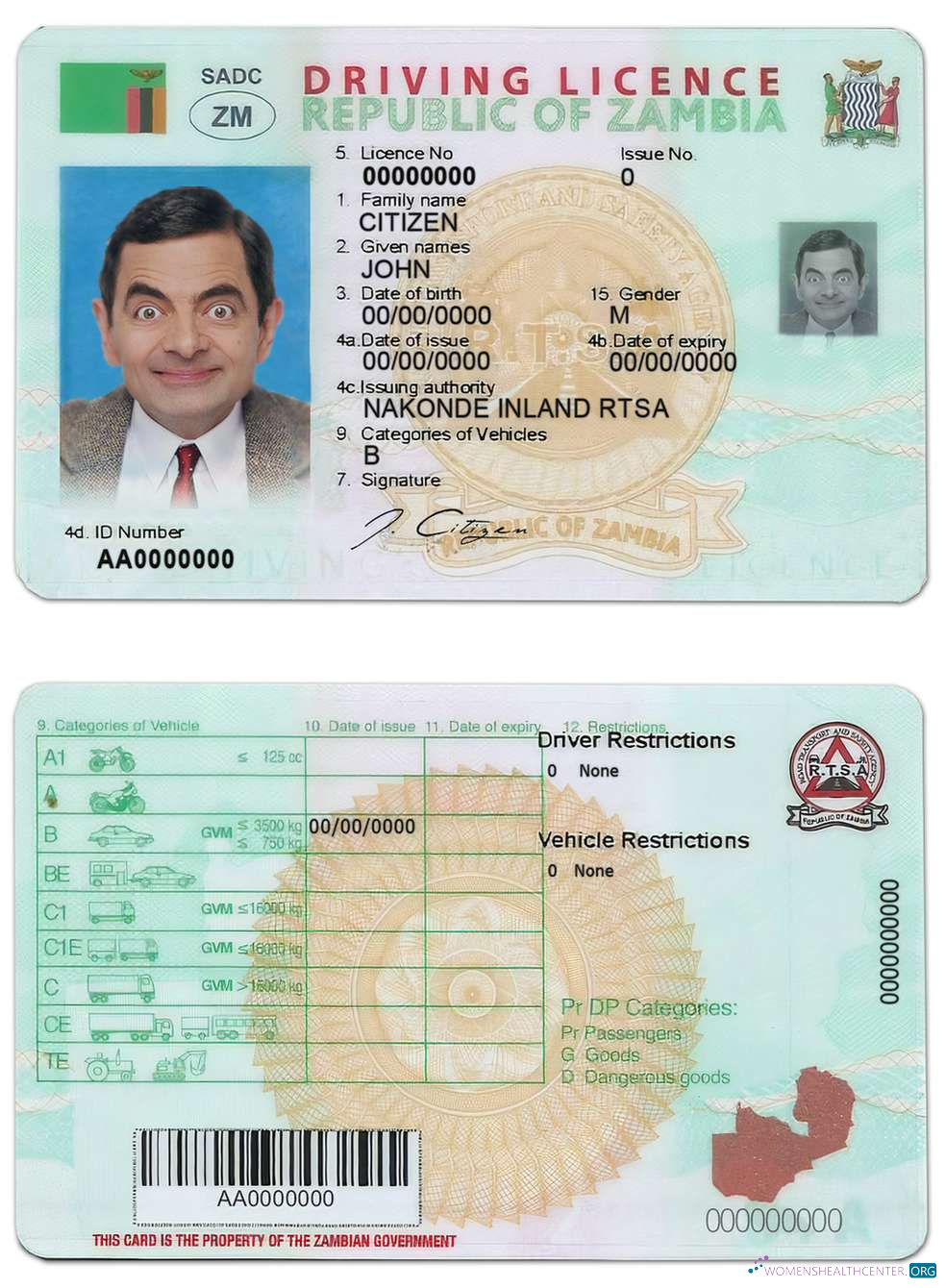 Télécharger Zambie Driving License design