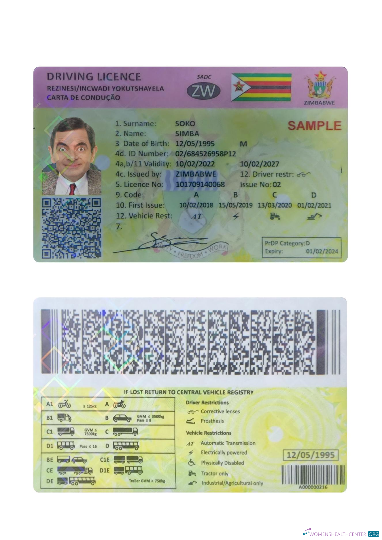 Télécharger Zimbabwe Driving License design
