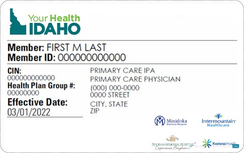Профессиональный Скачать Idaho Health Insurance Карта Photoshop Шаблон