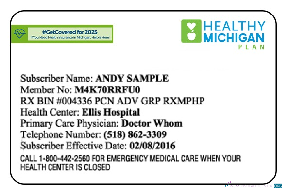 Премиум Скачать Michigan Health Insurance Карта Photoshop Шаблон
