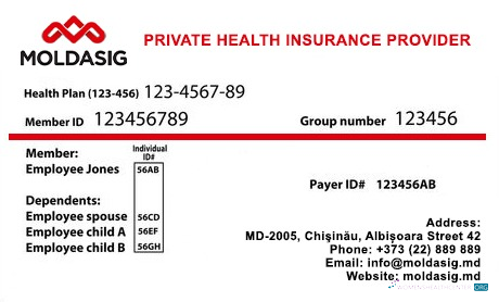 Реалистичный Скачать Молдова Health Insurance Карта Photoshop Шаблон