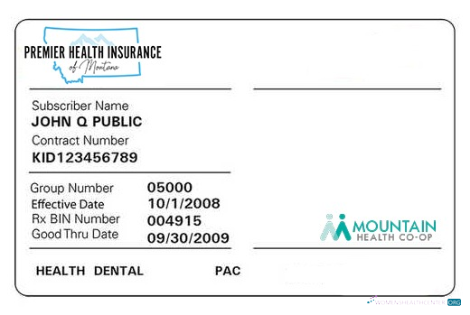 Профессиональный Скачать Montana Health Insurance Карта Photoshop Шаблон