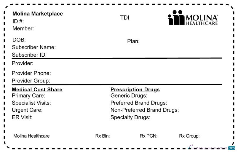 Качественный Скачать USA Molina HealthCare Health Insurance Карта Photoshop Шаблон