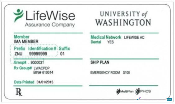 Реалистичный Скачать USA University Washington LifeWise Компания Health Insurance Карта Photoshop Шаблон